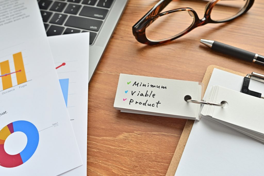 Crafting the Minimum Viable Product