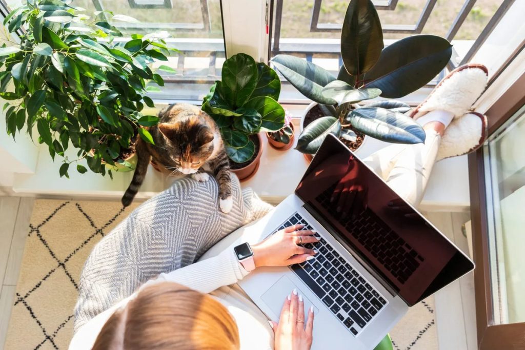 A woman sits on a chair with a laptop on her lap, while a cat rests beside her.