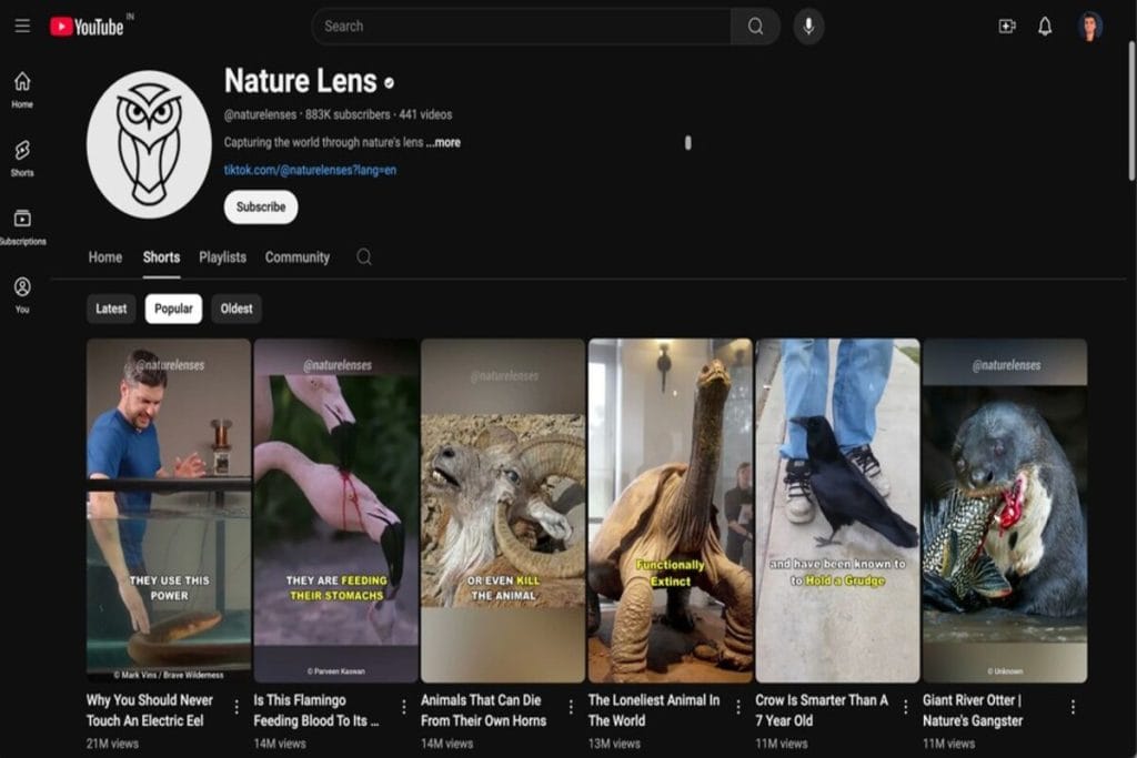 best-youtube-automation-niches-2025