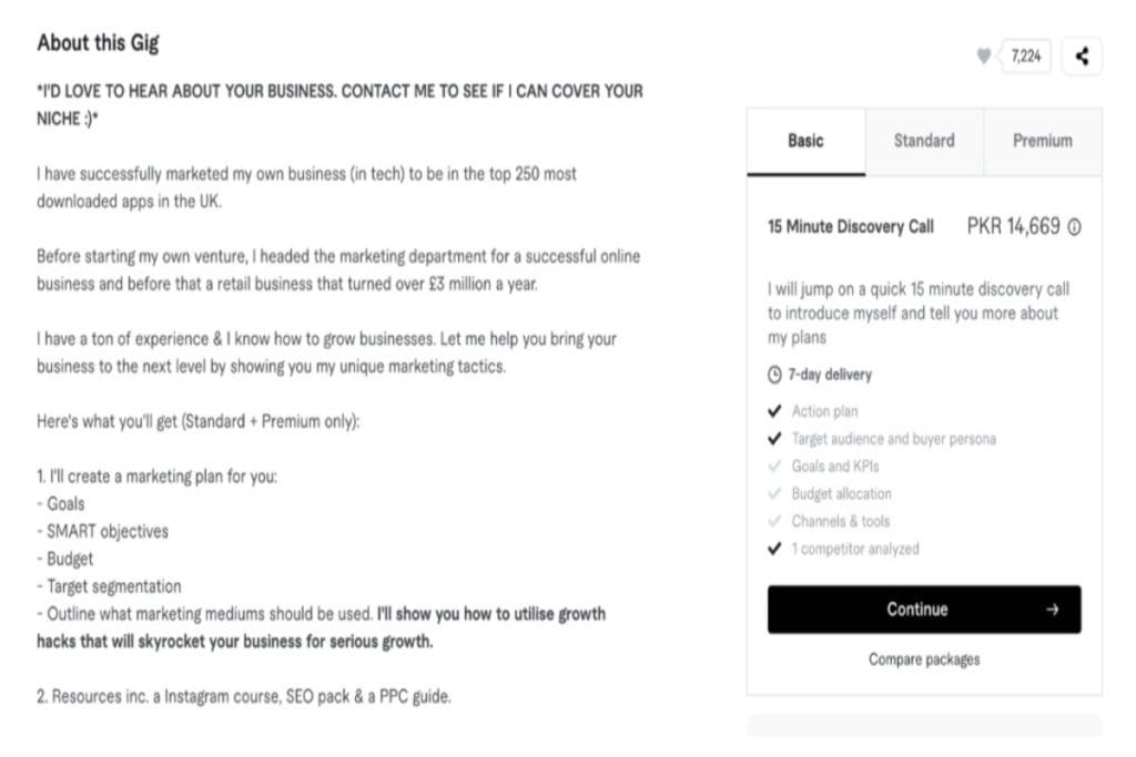 Fiverr-Gig-Description-Example